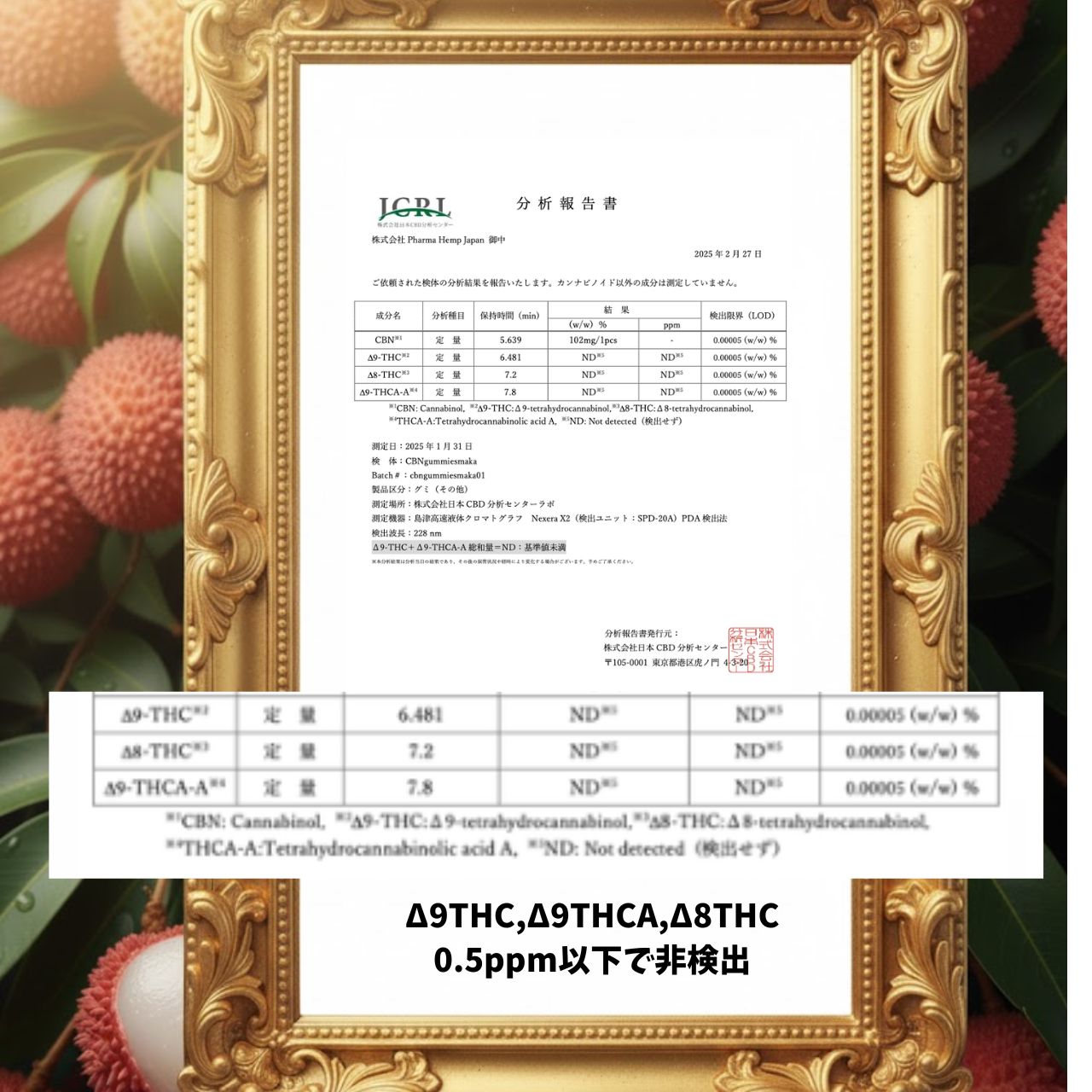 【卸専用】アンドレーヌさんのCBNグミ+マカ(PharmaHemp) - 画像 (8)