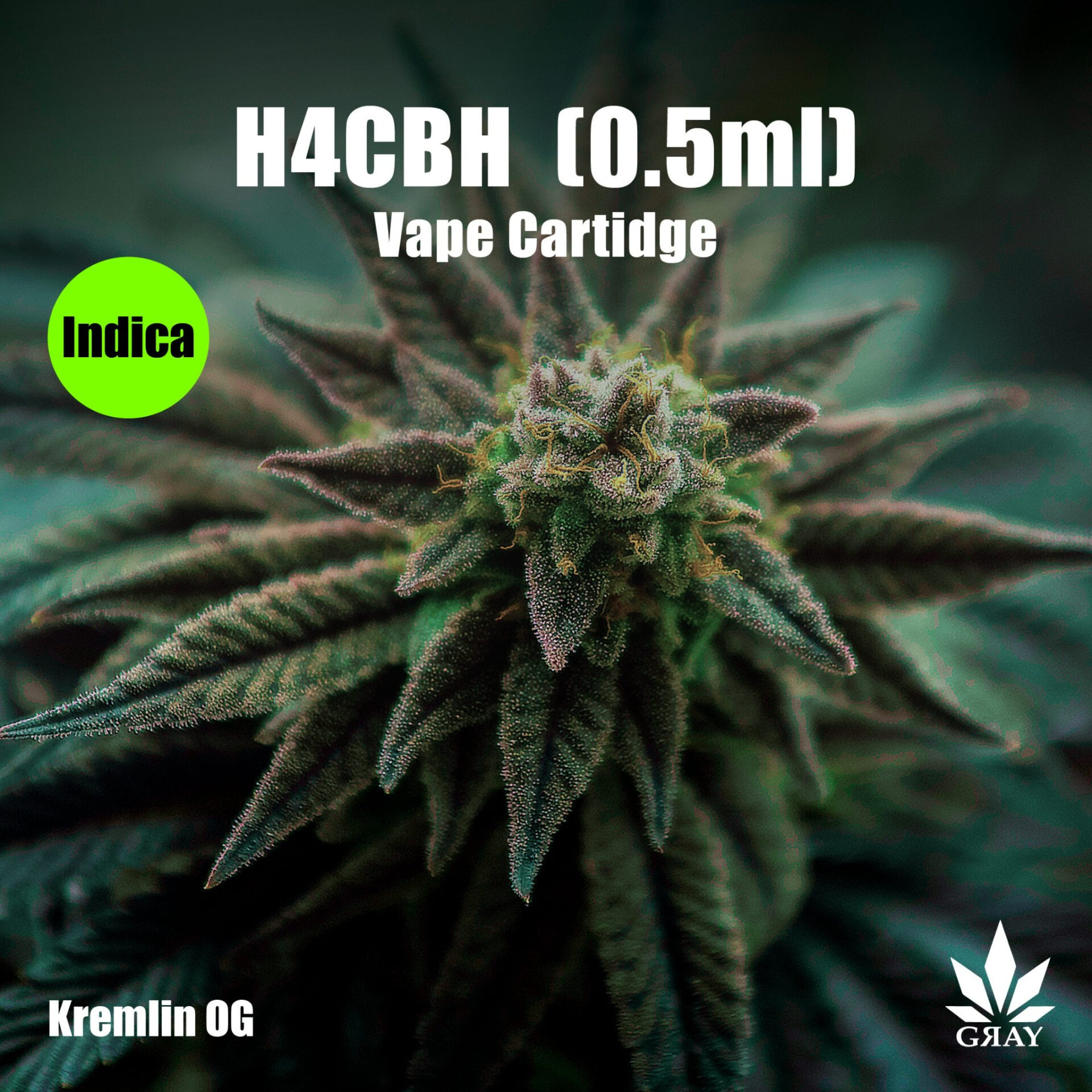 【卸専用】【H4CBH】インディカリキッド(0.5mL)